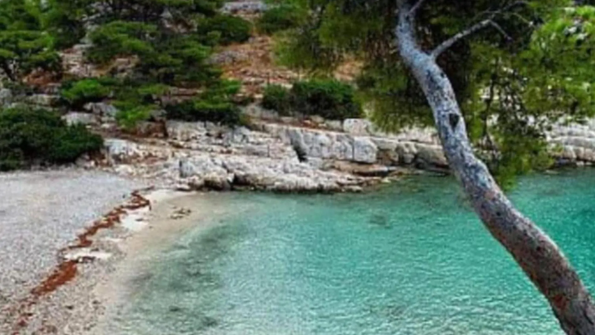 Appartement Le Perchoir De Cassis Cocoon France