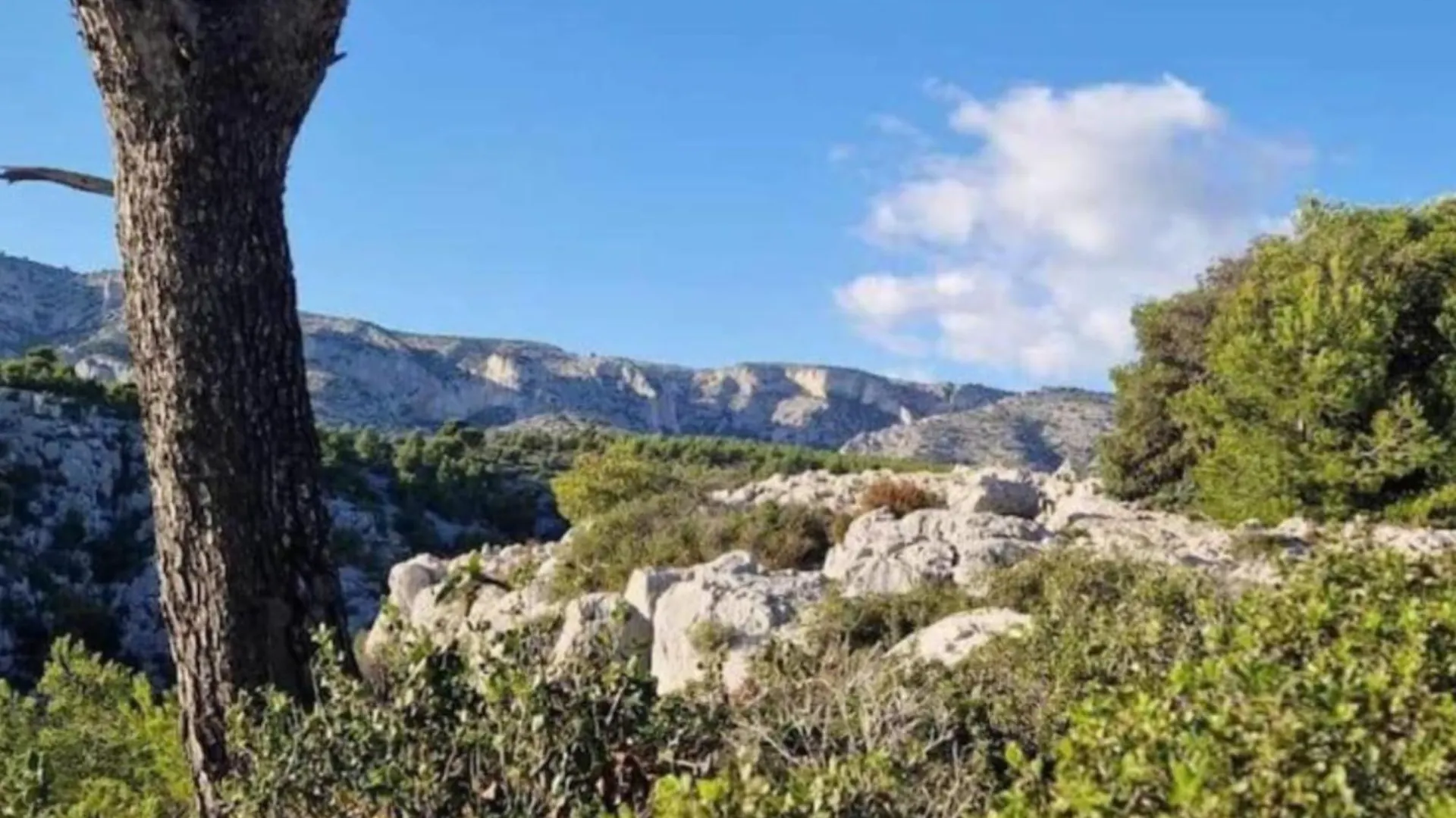 Appartement Le Perchoir De Cassis Cocoon 0*,